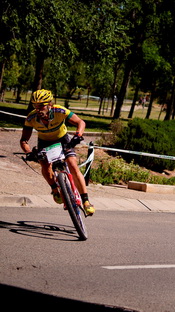 tudela2013